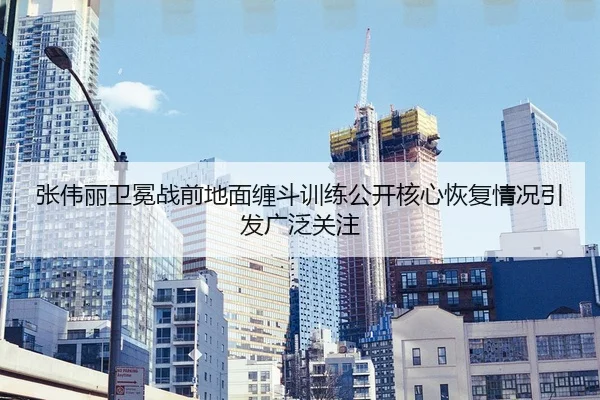 张伟丽卫冕战前地面缠斗训练公开核心恢复情况引发广泛关注