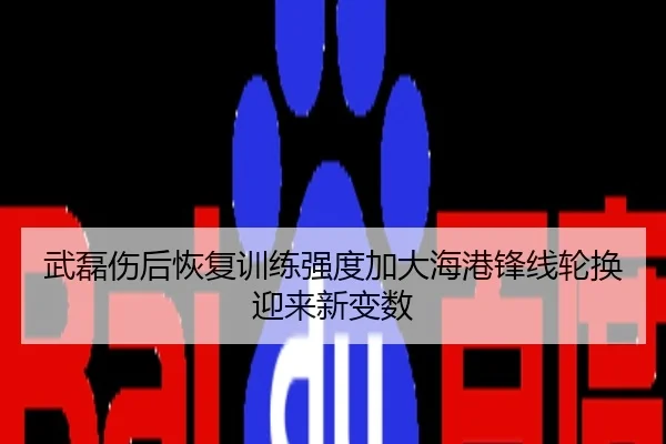 武磊伤后恢复训练强度加大海港锋线轮换迎来新变数